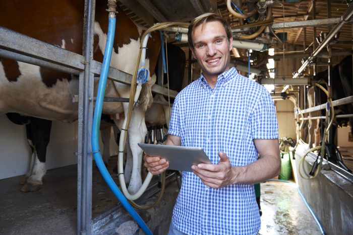 Australian Farmer Using Digital Tablet